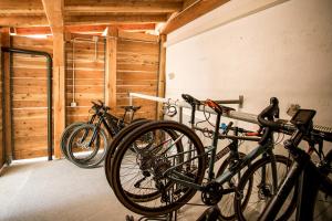 Jízda na kole v ubytování Agritur Comai nebo okolí