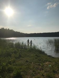 Galeriebild der Unterkunft Pensionszimmer im Fliederhof in Michendorf