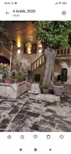 a picture of a courtyard with a tree and stairs at ŞarkÇırağan Konak Boutique Hotel in Urfa