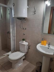 łazienka z toaletą i umywalką w obiekcie Apartments Milicevic w mieście Herceg Novi