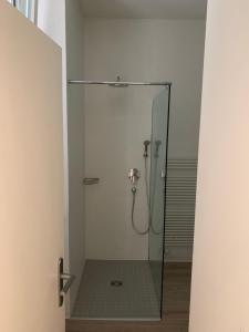 a shower in a bathroom with a glass door at Smart Living Swiss in Chiasso