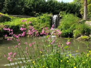 einen Wasserfall in einem Garten mit rosa Blumen in der Unterkunft Domaine du Plessis in Le Plessis-Luzarches