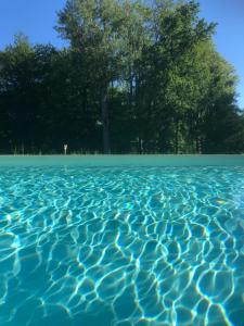 a pool of blue water with trees in the background at Domaine du Plessis in Le Plessis-Luzarches