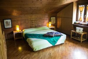 ein Schlafzimmer mit einem Bett und zwei Lampen an zwei Tischen in der Unterkunft B&B Pian Savin in Giaveno