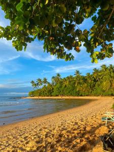 a beach with palm trees and the ocean at Hotel e Pousada Tetiaroa in Barra Grande