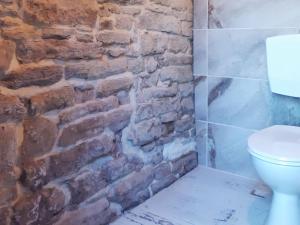 uma casa de banho com uma parede de tijolos e um WC. em PODs Alte Schule em Elchweiler