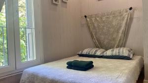 um quarto com uma cama com duas almofadas e uma janela em Aurore Appartements Carcassonne em Carcassonne