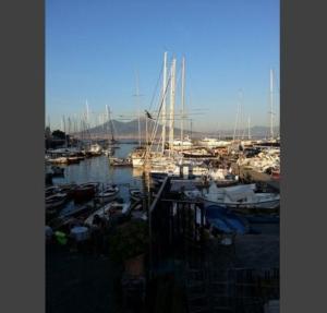 un grupo de barcos atracados en un puerto en Vomero District Apartment, en Nápoles