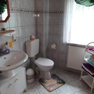 a bathroom with a toilet and a sink at Landpension Zum Schweizerberg in Neugrimnitz +116 photos