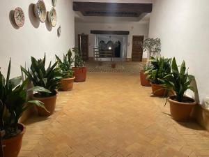 Gambar di galeri bagi Apartamentos Turísticos - Hostal Los Alisos di Aliseda +42 gambar