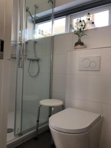 La salle de bains est pourvue de toilettes, d'une douche et d'un tabouret. dans l'établissement De Zwarte Ruiter, à Callantsoog