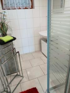 a bathroom with a glass shower and a sink at Studio Seeblick in Rheineck