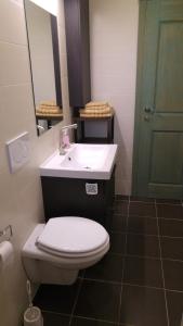 La salle de bains est pourvue de toilettes blanches et d'un lavabo. dans l'établissement Kmetija Jogan, Wines & Apartments, à Pobegi