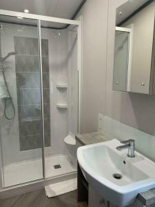 Barmby on the MoorにあるGraceland Lodge with Hot Tubのシャワーと洗面台を備えた白いバスルーム +8枚の写真