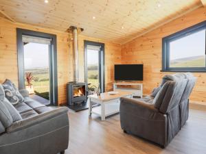 a living room with two couches and a fireplace at Bacheiddon Log Cabin in Machynlleth