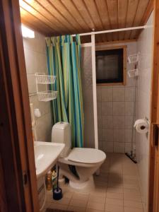 ein Bad mit einem WC und einem Waschbecken in der Unterkunft Holiday Cabin Kerimaa 103 in Savonlinna
