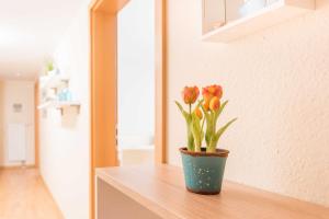 Fotografie z fotogalerie ubytování Haus am Meer Wintergarten PH 7, 2 SZ, strandnah by Unsere Urlaubszeit v destinaci Ostseebad Sellin