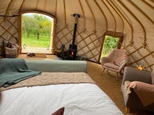 Blossom Orchard - Luxury Yurts