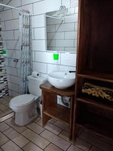a bathroom with a toilet and a sink at Apartamento Siary 1 in Monteverde Costa Rica