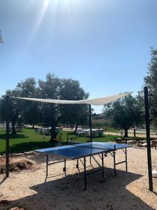a blue ping pong table in a park at Herdade Da Maridona - Agroturismo in Estremoz
