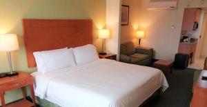 a hotel room with a large white bed and a chair at Holiday Inn Express & Suites Toluca Zona Aeropuerto, an IHG Hotel in Toluca