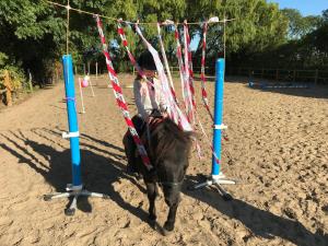Afbeelding uit fotogalerij van De Broodkist in Koudekerke