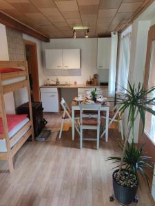 a room with a kitchen and a table in a room at Gasthaus Piesau - Thüringer Wald - Rennsteig in Piesau