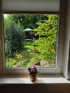 Billede fra billedgalleriet på Gasthaus Piesau - Thüringer Wald - Rennsteig i Piesau + 94 billeder