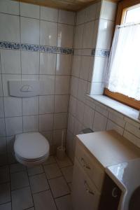 a small bathroom with a toilet and a window at Knuschbrhaisle in Oberreute