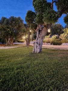 A garden outside Casetta Letizia