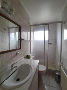 a bathroom with a sink and a toilet and a shower at HOTEL GLACIARES in Puerto Natales