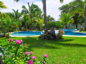 un cortile con piscina e palme di Villas Monserrat a Guadalupe