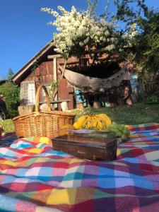 einen Picknicktisch mit einem Obstkorb auf einer Decke in der Unterkunft Refúgio conexão natureza! Chalet amplo e confortável ;) in Eldorado do Sul 