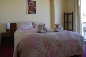 Gallery image of Marlon's House Puno-Peru in Puno +66 photos