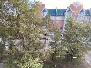 チタにあるDekabrist apartment at Ugdanskaya 8の前方の木々の建物の頭上