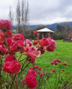 Jardí fora de Turismo Jaos Cabañas Tinas y Quincho