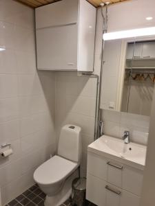 a bathroom with a toilet and a sink at Levillenet studio apartment at Levi City centre in Levi