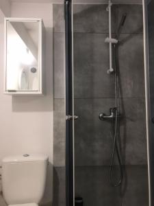 uma casa de banho com um chuveiro, um WC e um lavatório. em Chopin apartments self check-in em Varsóvia