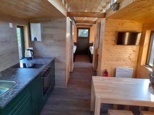 a kitchen in a log cabin with wooden walls at Eisenbahnromantik im Urlaub in Heinsdorfergrund