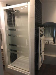 a glass shower door in a bathroom with towels at Les appartements du Koifhus in Colmar +51 photos