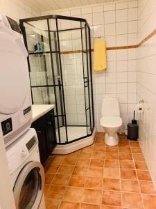 a bathroom with a shower and a toilet and a washing machine at Super sentral, flott og solrik leilighet i sentrum in Hemsedal