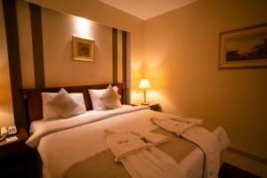 
سرير أو أسرّة في غرفة في فندق سويس ان النيل
