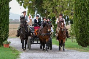 Επισκέπτες που μένουν στο Agriturismo Giuncola & Granaiolo