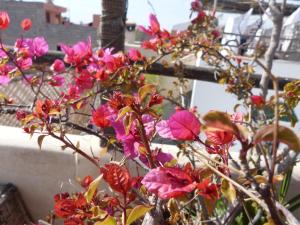 un ramo de flores rosas en un jarrón en Riad Shambala en Marrakech