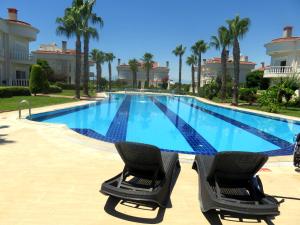 two chairs sitting next to a swimming pool with palm trees at TALYA TURİZM TATİLEVLERİ ve VİLLALARI in Belek