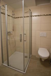 a shower stall with a toilet in a bathroom at Ferienwohnung Erik in Bad Staffelstein