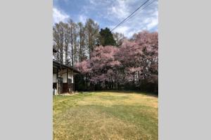 Zahrada ubytování 1日1組限定-伊那谷別邸-share old folk house-