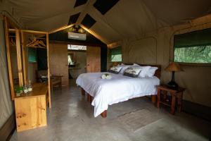 Foto de la galería de Little Africa Safari Lodge en Hoedspruit