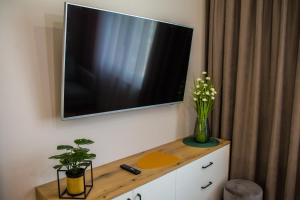 a television on a wall with a vase of flowers on a cabinet at Piernikowe in Toruń