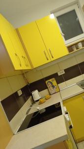 Kuchyň nebo kuchyňský kout v ubytování APARTMAN SUNFLOWER